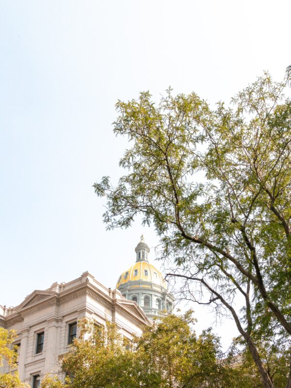 Colorado state capitol building seen through the tops of trees