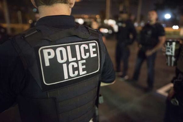 Photo of a law enforcement officer from behind with the words police ice printed on their uniform