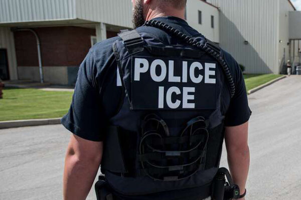 Photo of a law enforcement officer with the words police ice written on the back of a vest