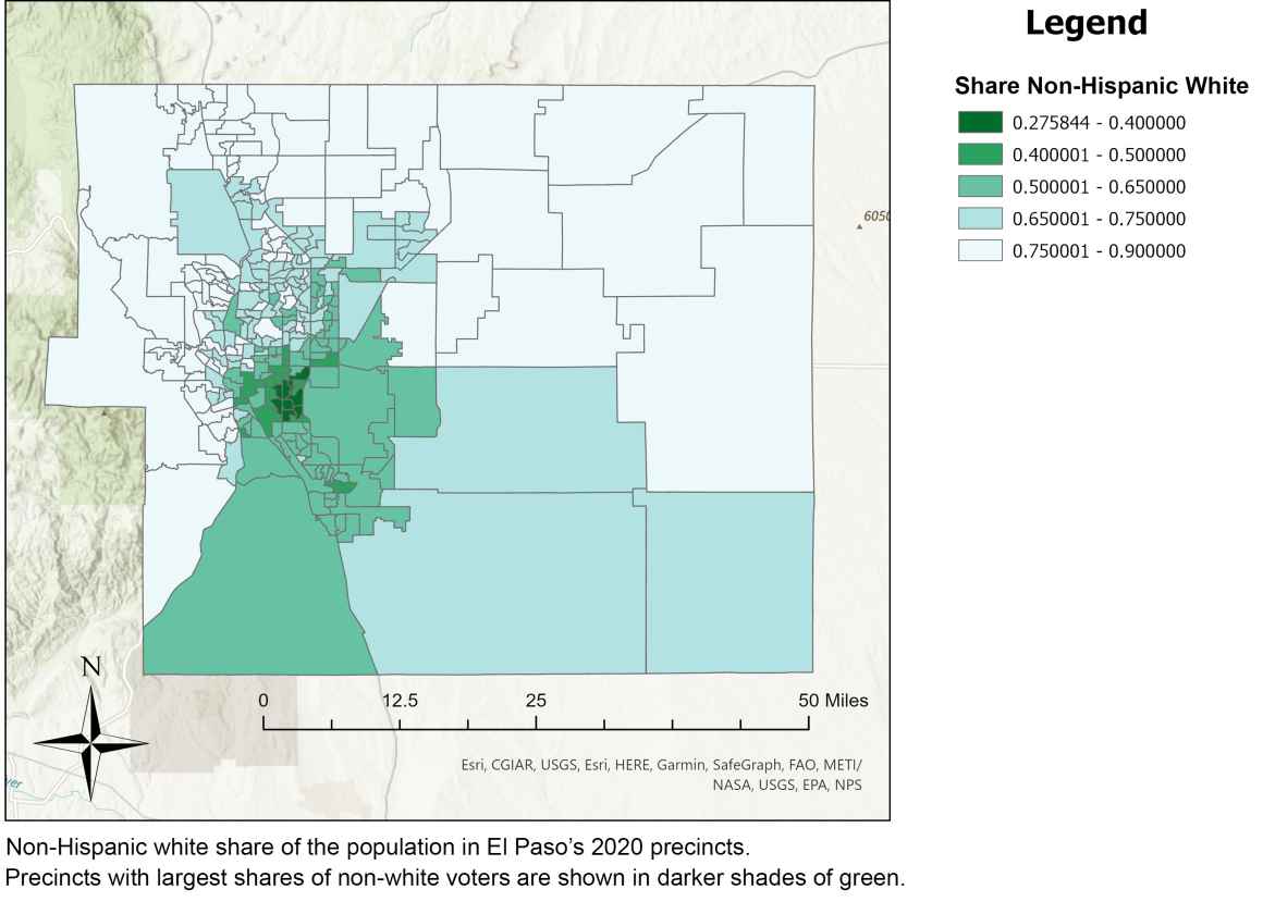 Colored map of voting precincts divided by white and non-white voters