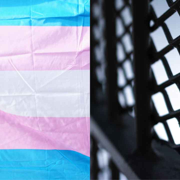 Picture of a trans pride flag next to a photo of prison bars